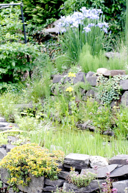 Kategorien: Datum: 28.05.2008