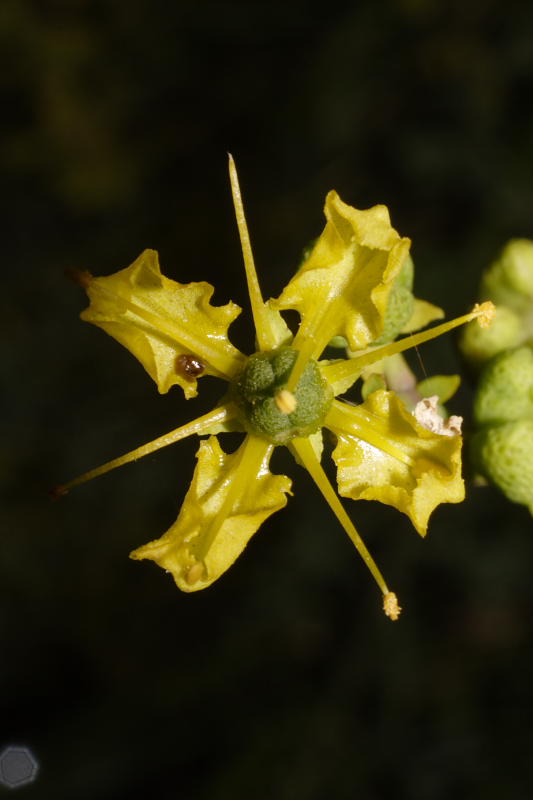 Kategorien: Datum: 27.08.2008