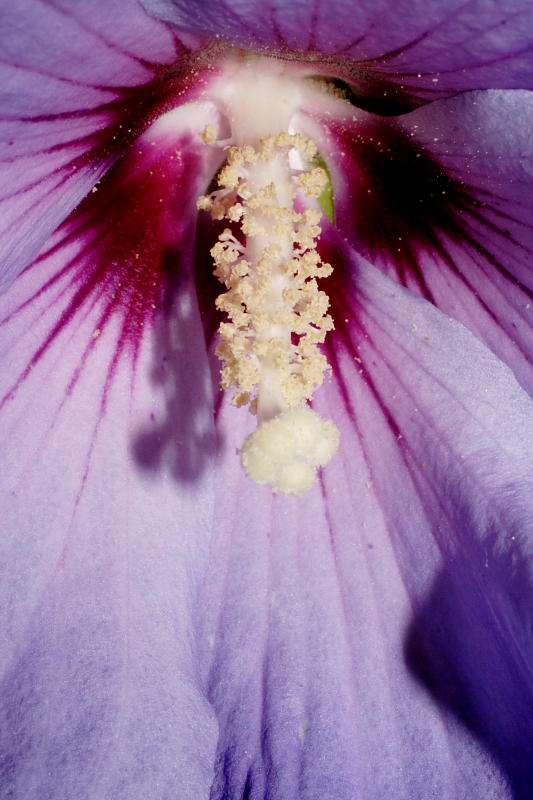 Kategorien: Datum: 27.08.2008