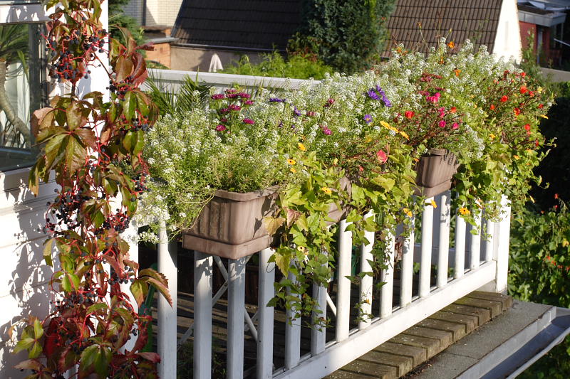 Kategorien: Datum: 14.09.2008