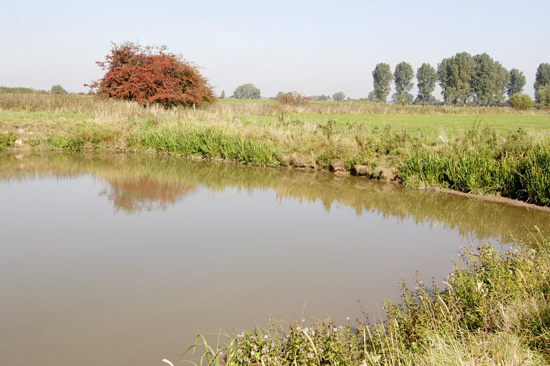 Lokation: Deutschland | Nordrhein-Westfalen | Emmerich | Grietherbusch Kategorien: Datum: 27.09.2008