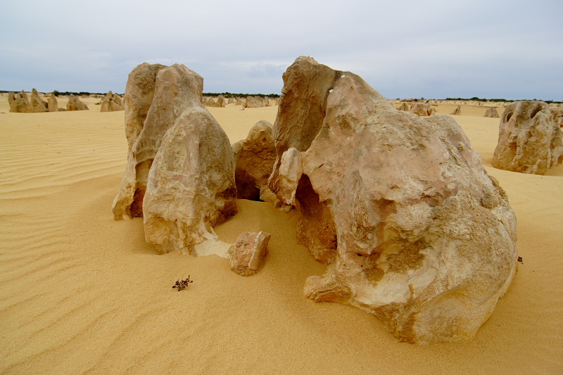Pinnacles, Lokation: Australien | Western Australia | Cervantes | Cervantes Kategorien: Datum: 22.10.2008