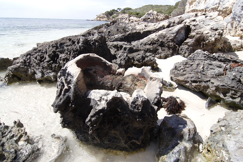 Lokation: Australien | Rottnest Island Kategorien: Datum: 25.10.2008