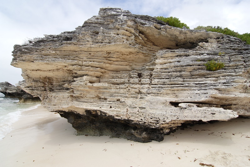 Lokation: Australien | Rottnest Island Kategorien: Datum: 25.10.2008