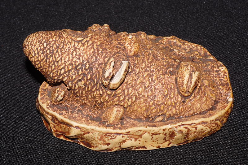 Lokation: Australien | Western Australia | Mount Barker | Mount Barker Kategorien: Datum: 27.10.2008