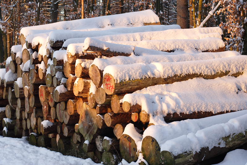 Kategorien: Datum: 06.01.2009