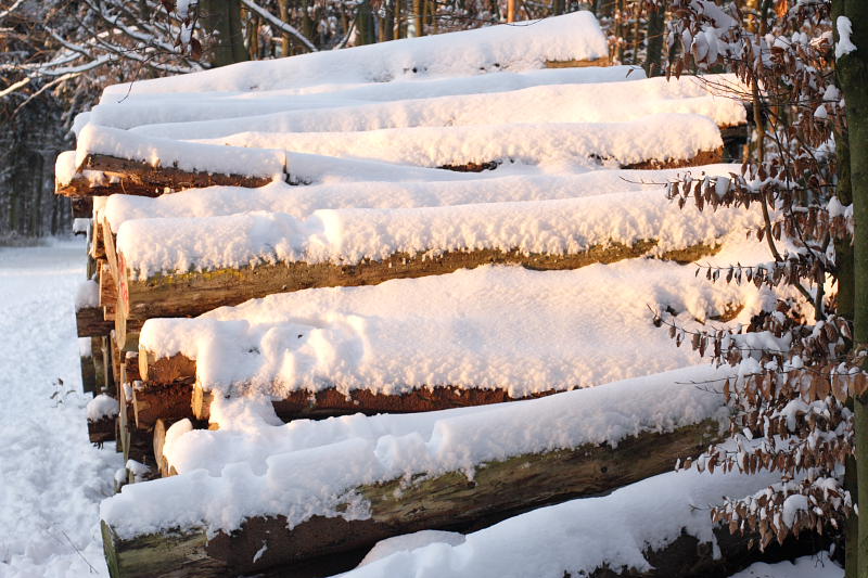 Kategorien: Datum: 06.01.2009