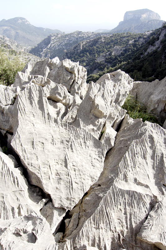 Lokation: Spanien | Baleares | Mancor De La Vall | Fornalutx Kategorien: Datum: 25.03.2009