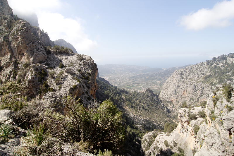 Lokation: Spanien | Baleares | Biniaraix | Biniaraix Kategorien: Datum: 26.03.2009