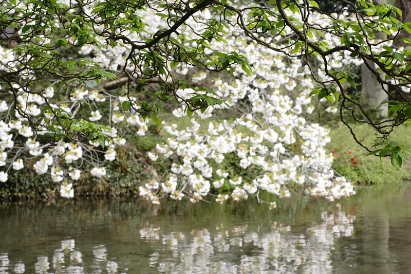 Kategorien: Datum: 10.04.2009