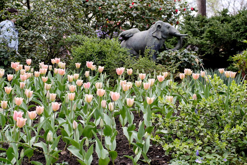 Kategorien: Datum: 10.04.2009