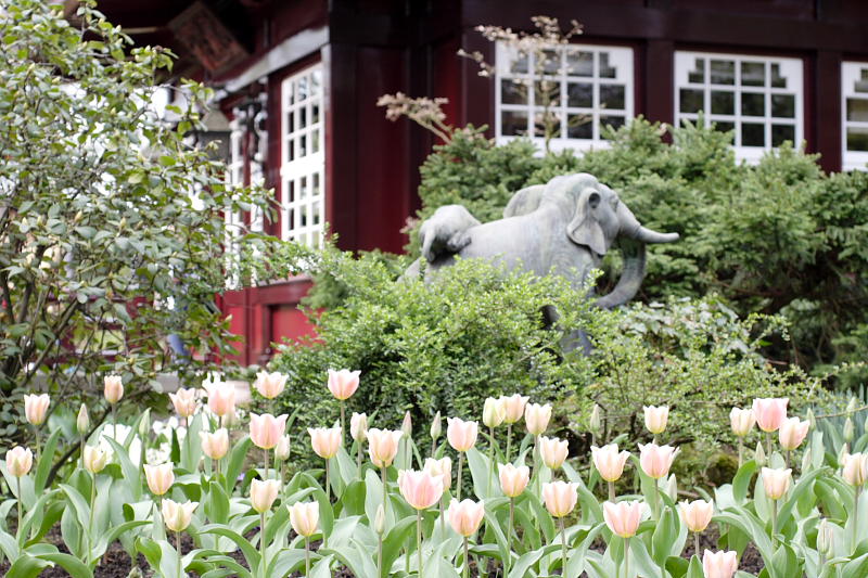 Kategorien: Datum: 10.04.2009