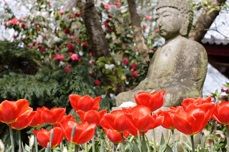 Kategorien: Datum: 10.04.2009