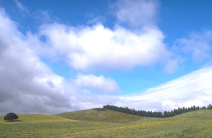 Lokation: Portugal, Algarve Kategorien: Wolken, Datum: 16.04.1994