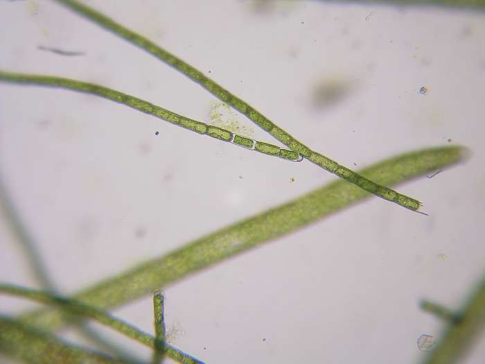 Lokation: Zuhause Kategorien: Mikro, Datum: 10.11.2004