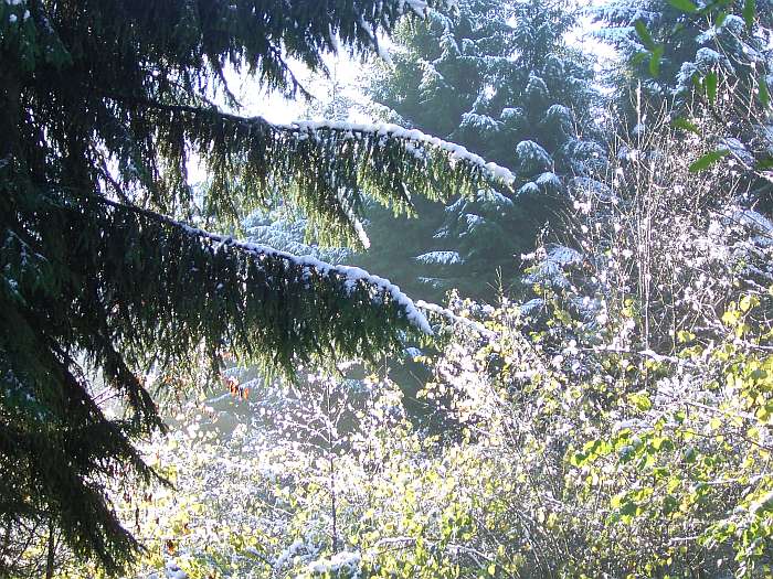 Lokation: Engelskirchen Kategorien: Winter, Datum: 21.11.2004