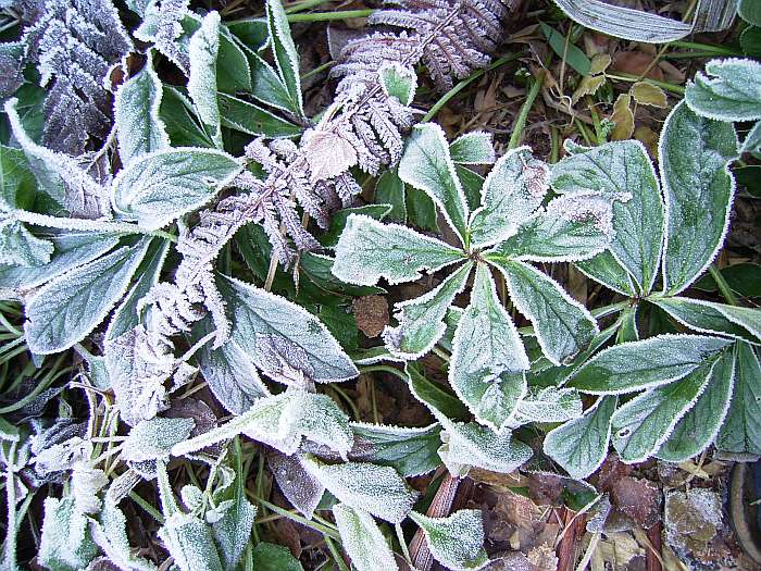 Lokation: Zuhause Kategorien: Winter, Datum: 21.12.2004