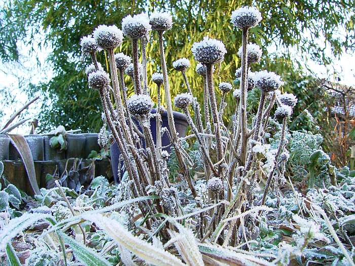 Lokation: Zuhause Kategorien: Winter, Datum: 21.12.2004