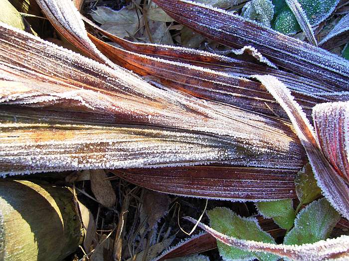 Lokation: Zuhause Kategorien: Winter, Datum: 21.12.2004