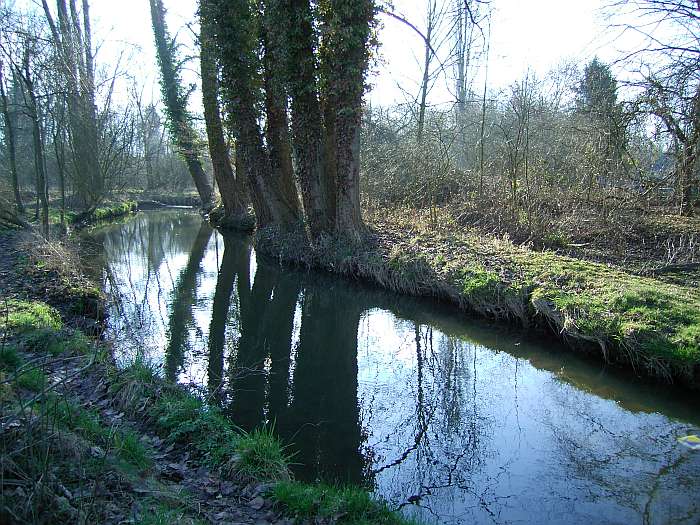 Lokation: NSG Kradepohlsmühlenweg Kategorien: Bach, Datum: 21.03.2005