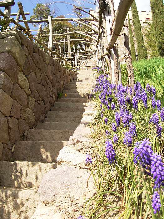Lokation: Südtirol, Meran Kategorien: Naturgarten, Datum: 01.04.2005