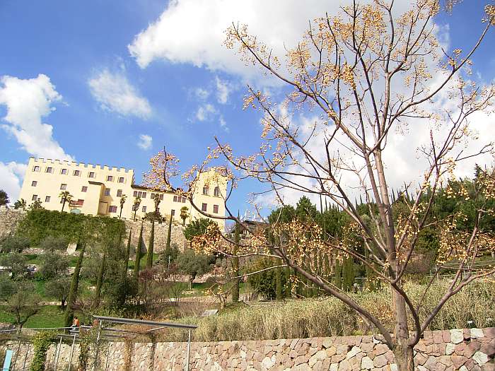 Lokation: Südtirol, Meran Kategorien: Garten, Datum: 01.04.2005