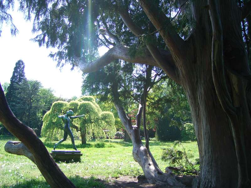 Lokation: Deutschland | Hamburg | Hamburg Nienstedten | Kleinflottbek Kategorien: Datum: 10.05.2008