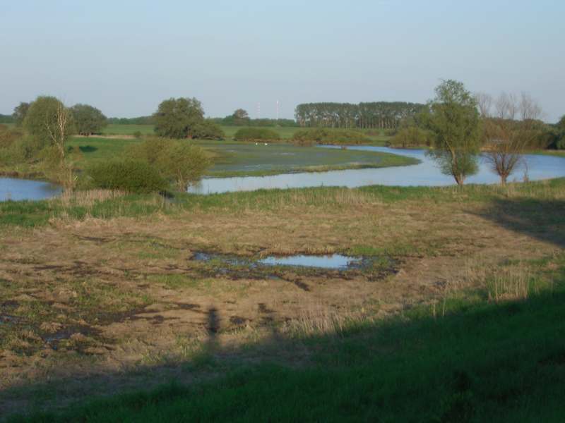 Lokation: Deutschland | Niedersachsen | Damnatz Damnatz | Damnatz Kategorien: Datum: 11.05.2008