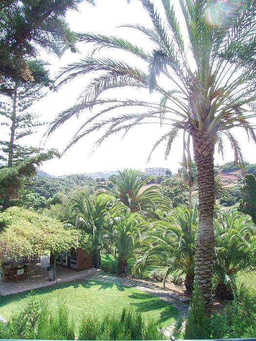 Lokation: Menorca Kategorien: Garten, Datum: 25.06.2004