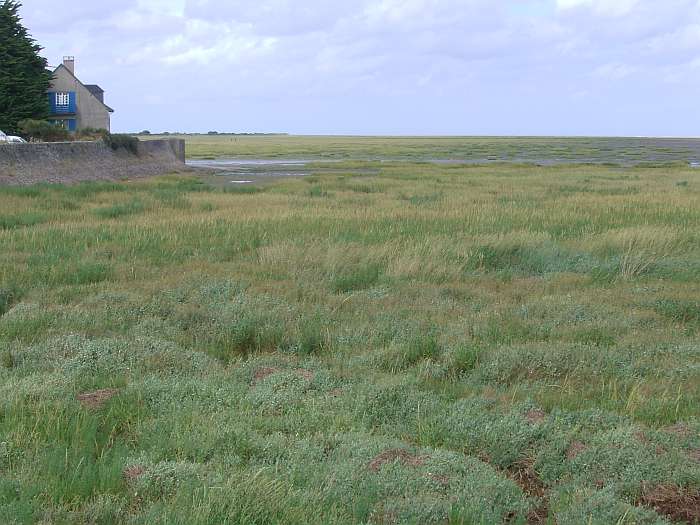 Lokation: Normandie Kategorien: Meer, Fluss, Datum: 13.08.2004