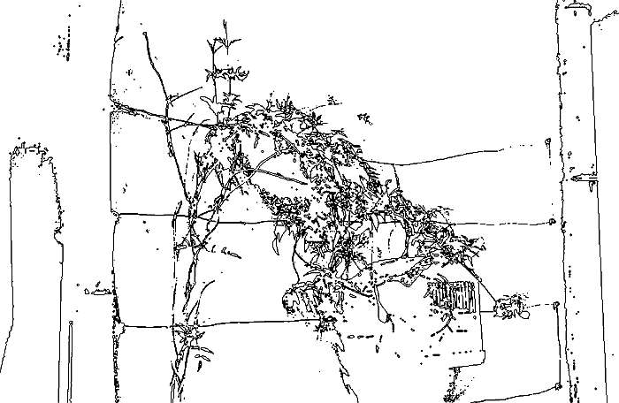 Lokation: Italien, Incisa Kategorien: Verfremdung, Stilleben, Datum: 31.03.2002